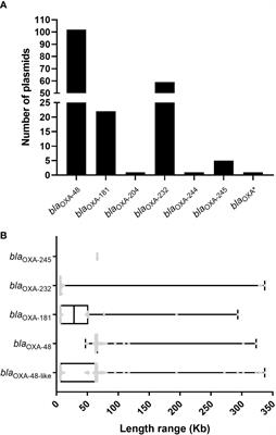 Comparative genomic analysis of plasmids harboring blaOXA-48-like genes in Klebsiella pneumoniae